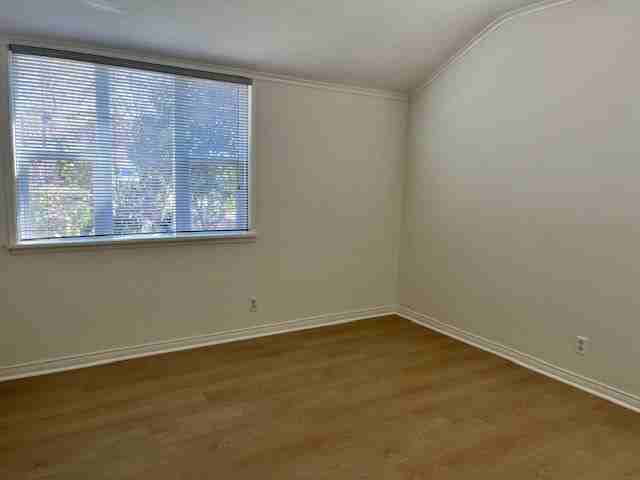 6013 N Walnut Grove Ave - Photo 5 of 16