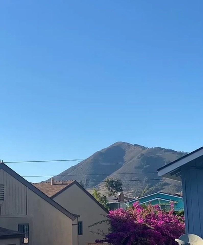 1745 Nipomo St #A - Photo 4 of 14