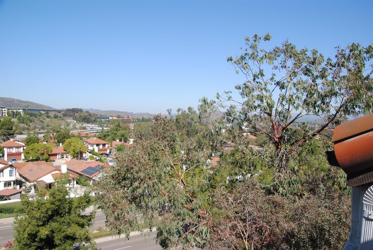 16376 Avenida Venusto #1 - Photo 2 of 14