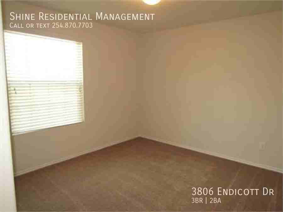 3806 Endicott Dr - Photo 6 of 19