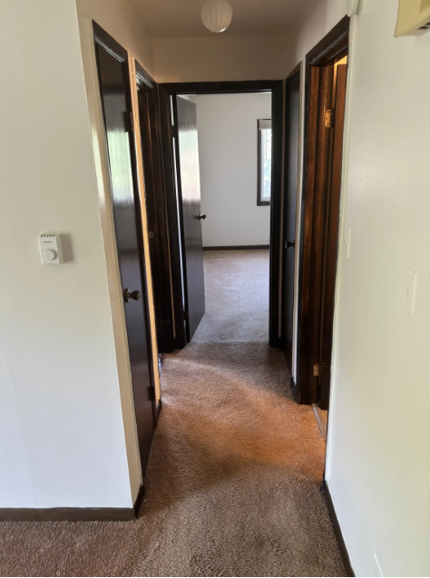 1913 Canal St #3B - Photo 5 of 11