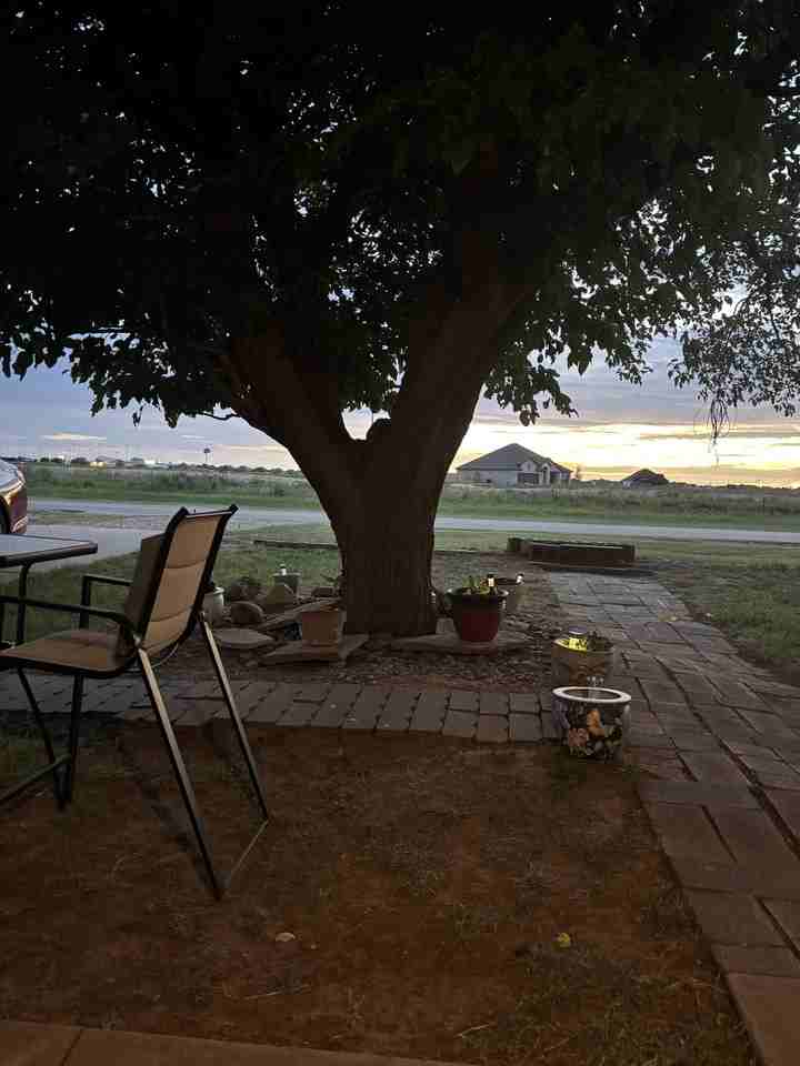 7701 County Rd - Photo 5 of 13