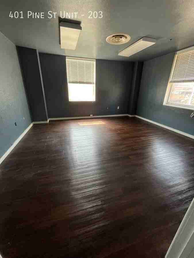 401 Pine St #203 - Photo 3 of 4