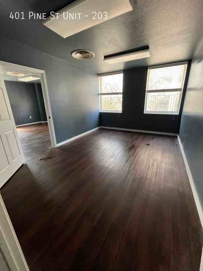 401 Pine St #203 - Photo 4 of 4