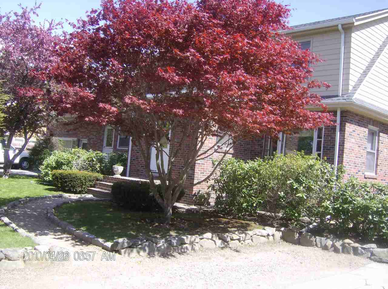 34 Pond St #2 - Photo 6 of 18