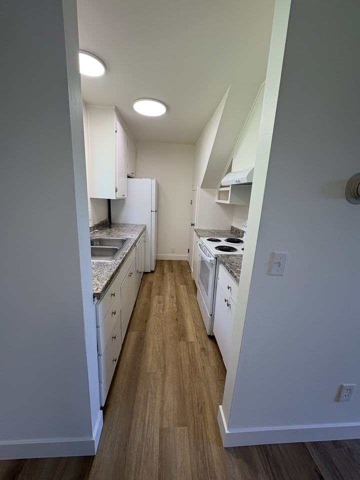 230 San Andreas Dr #A - Photo 7 of 19