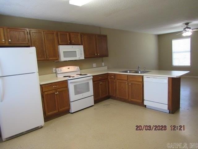 1B Osprey Cv - Photo 7 of 12