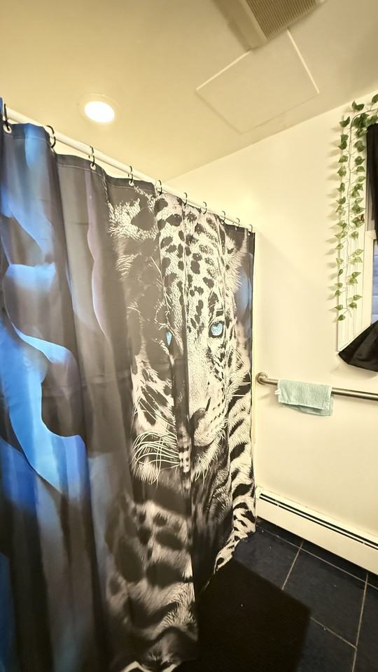 279 Ontario St #1 - Photo 7 of 16