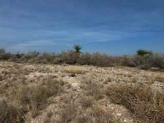 12263 N Us Highway 277 - Photo 3 of 6