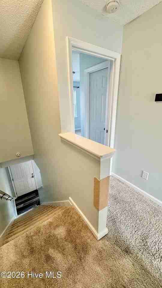 5001 Grandeur Ave - Photo 7 of 17