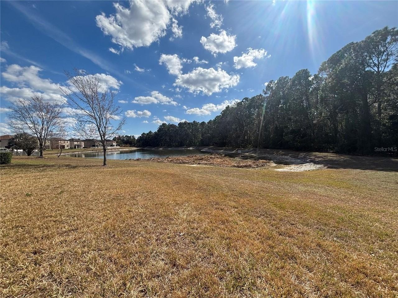 20014 Date Palm Way - Photo 2 of 30