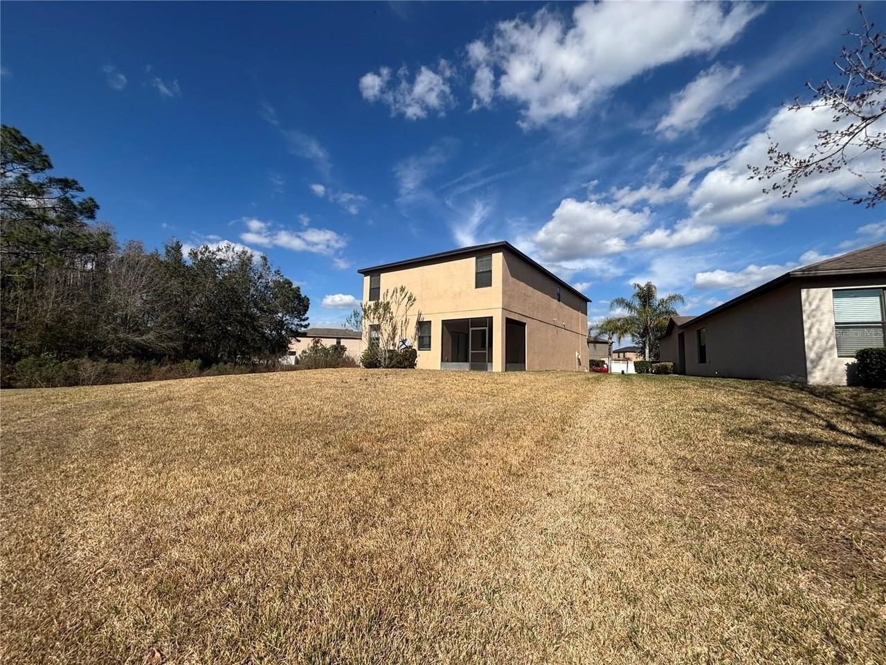 20014 Date Palm Way - Photo 4 of 30