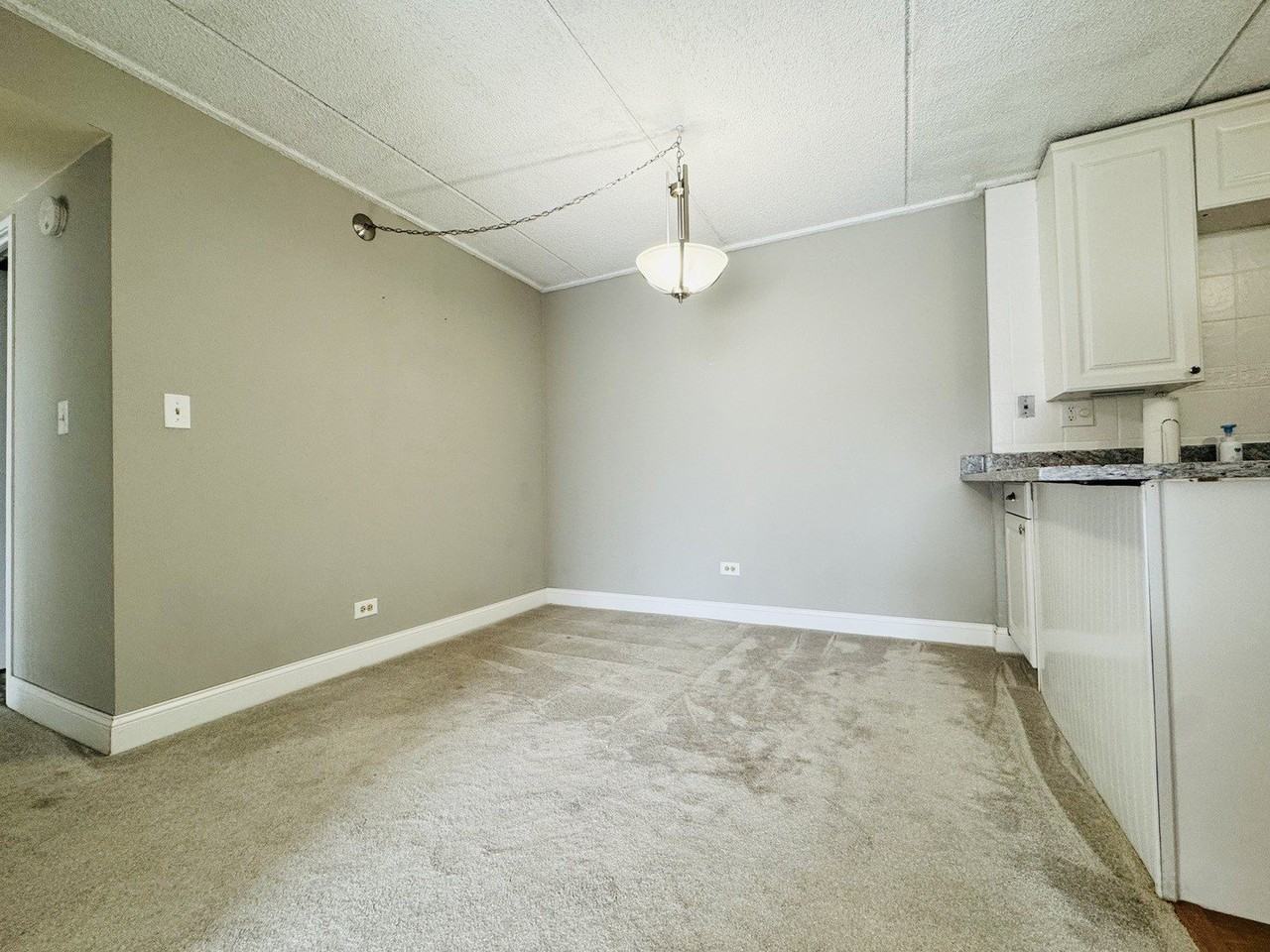 5S070 Pebblewood Ln #F11 - Photo 6 of 11