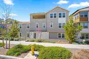 featured image of 430 Lobata