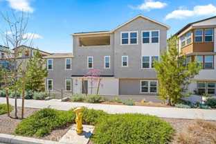 430 Lobata - Photo 1 of 1