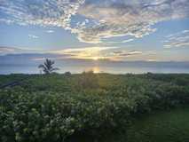 3870 N Highway A1a N unit: #202 - Photo 1 of 1