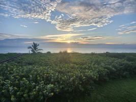 featured image of 3870 N Highway A1a N unit: #202