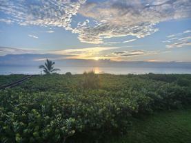 3870 N Highway A1a N unit: #202 - Photo 1 of 1