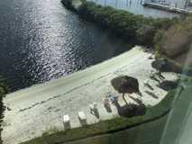 1000 Scotia Dr #105 - Photo 1 of 1