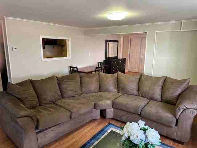 1023 Ponsi St #G - Photo 3 of 8