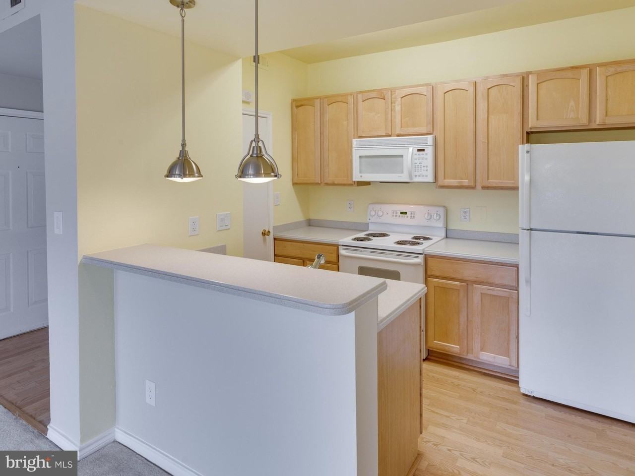 3906 Penderview Dr Apt 724 - Photo 4 of 30