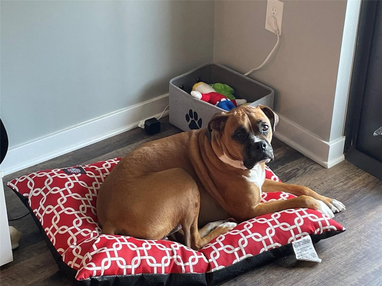 1436 Ne 2nd Ave Unit 2 - Photo 3 of 37