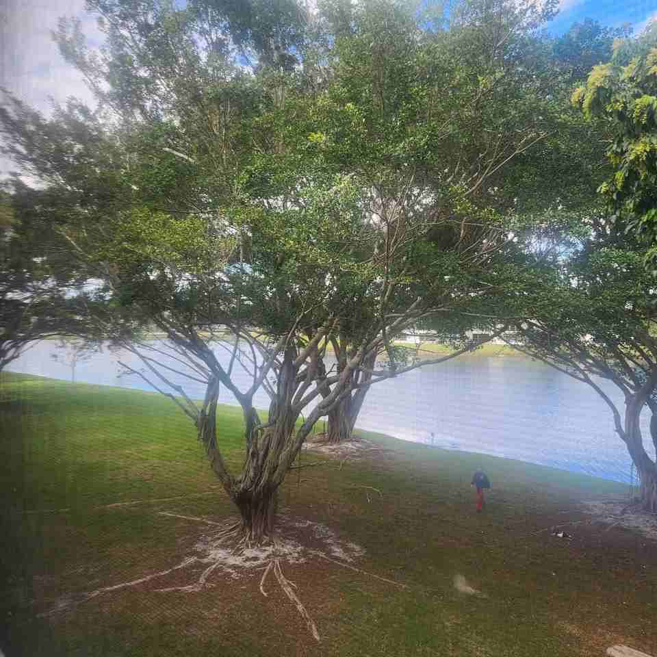 9430 Poinciana Pl Apt 305 - Photo 2 of 24