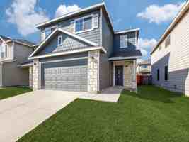 featured image of 307 Quince Flower