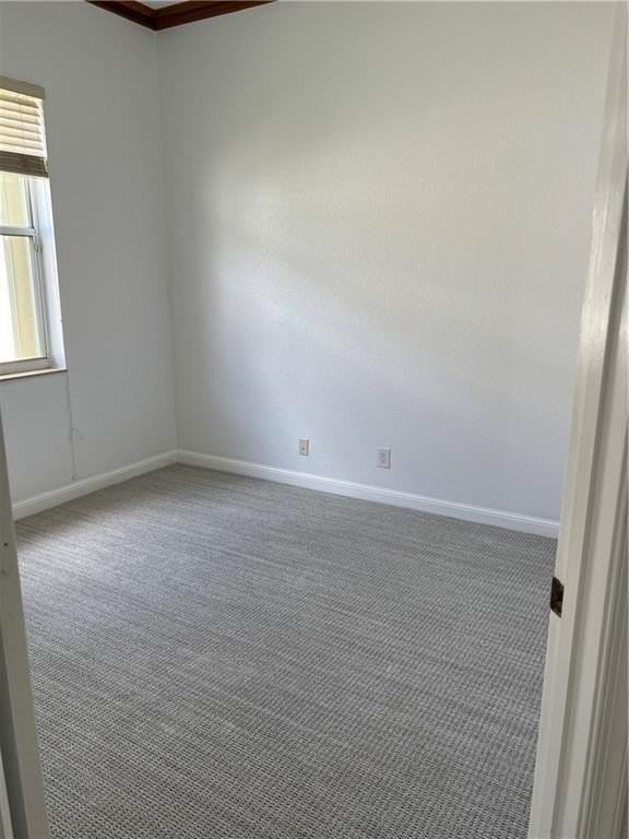 1002 Lavender Cir - Photo 7 of 11