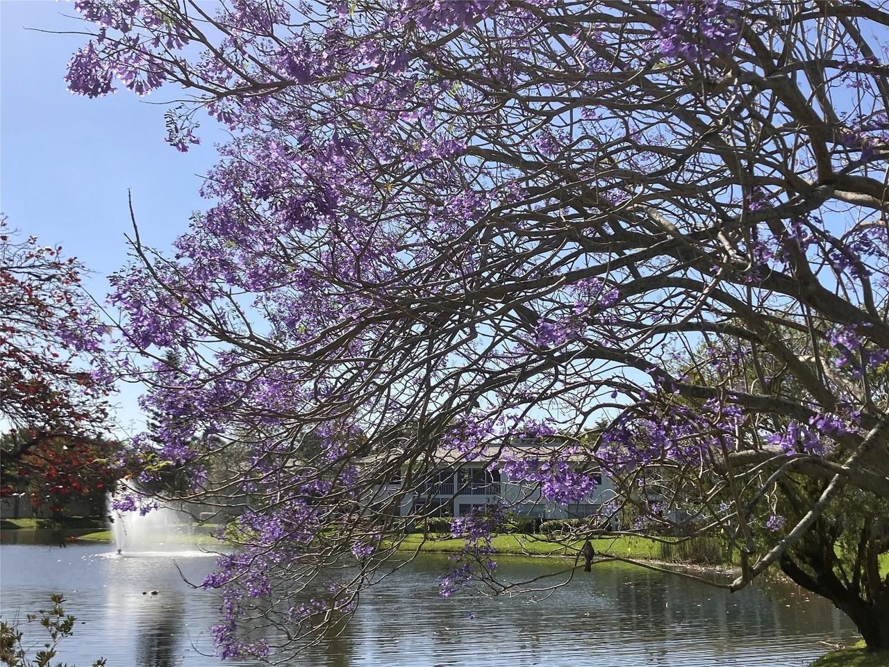 2710 Nassau Bnd Apt B1 - Photo 5 of 27