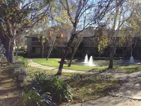 2220 Almaden Rd #A - Photo 1 of 1