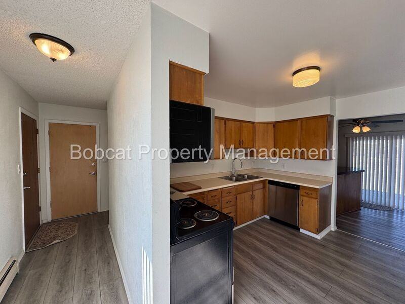 5229 Silver Sage Dr - Photo 4 of 45