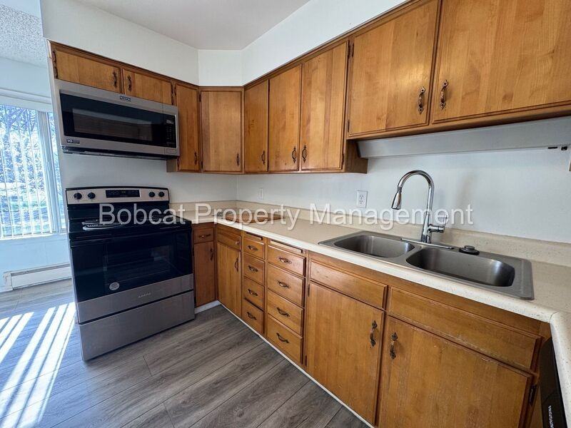 5229 Silver Sage Dr - Photo 5 of 45