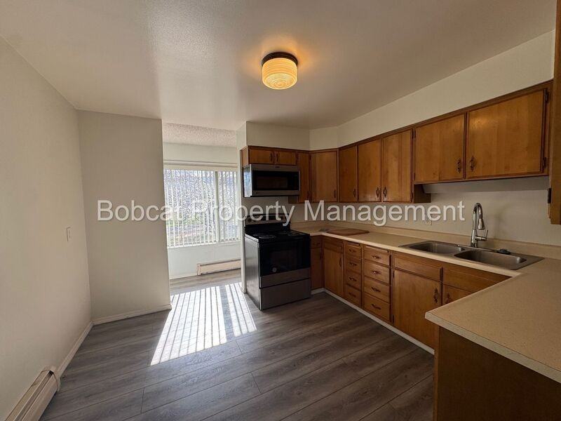 5229 Silver Sage Dr - Photo 7 of 45