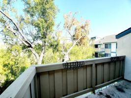 featured image of 853 Woodside Way