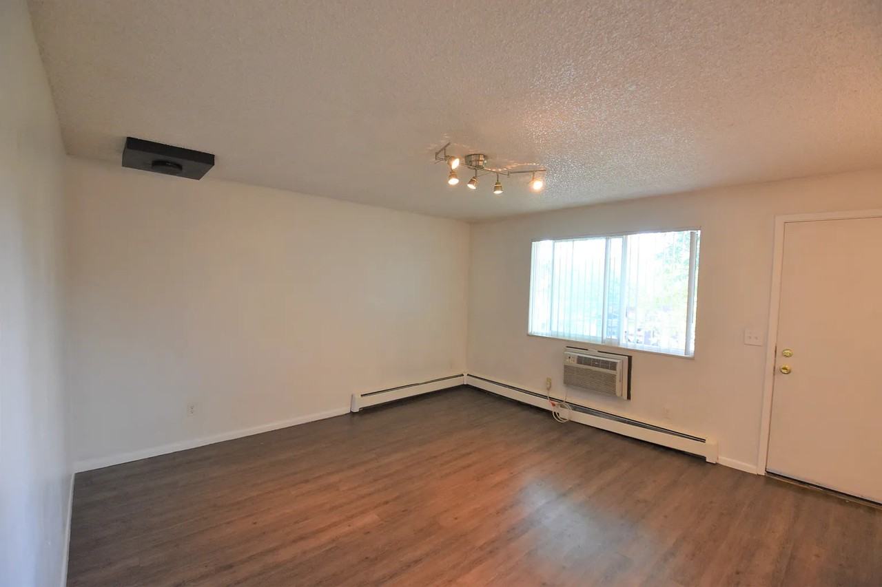 811 Marine St - Photo 5 of 8