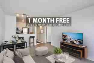 The Collective - Photo 1 of 1