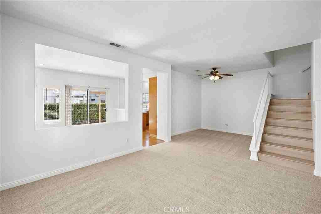 85 Pomelo - Photo 6 of 33