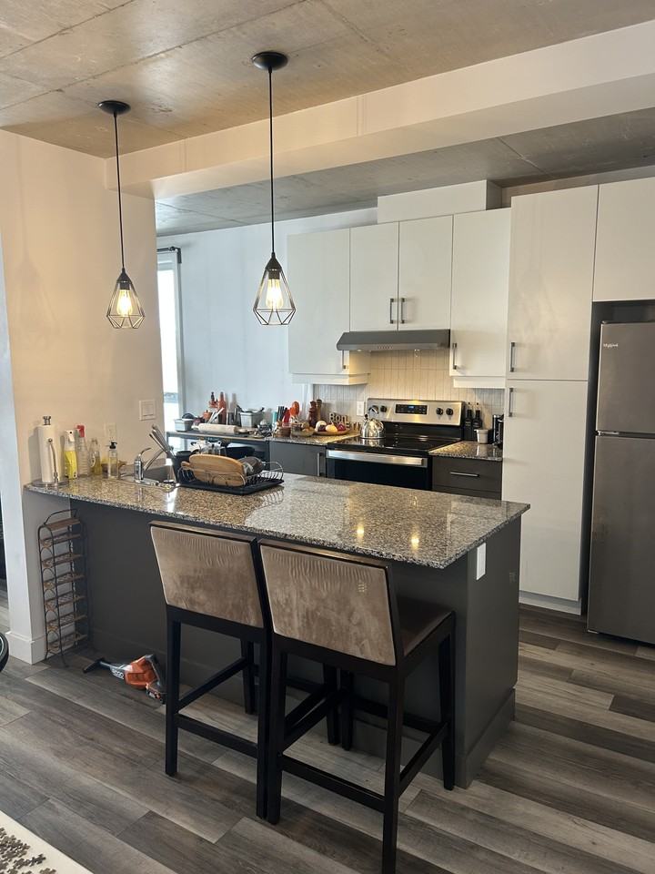 Rue Montcalm & Rue Gagnon #311 - Photo 7 of 17