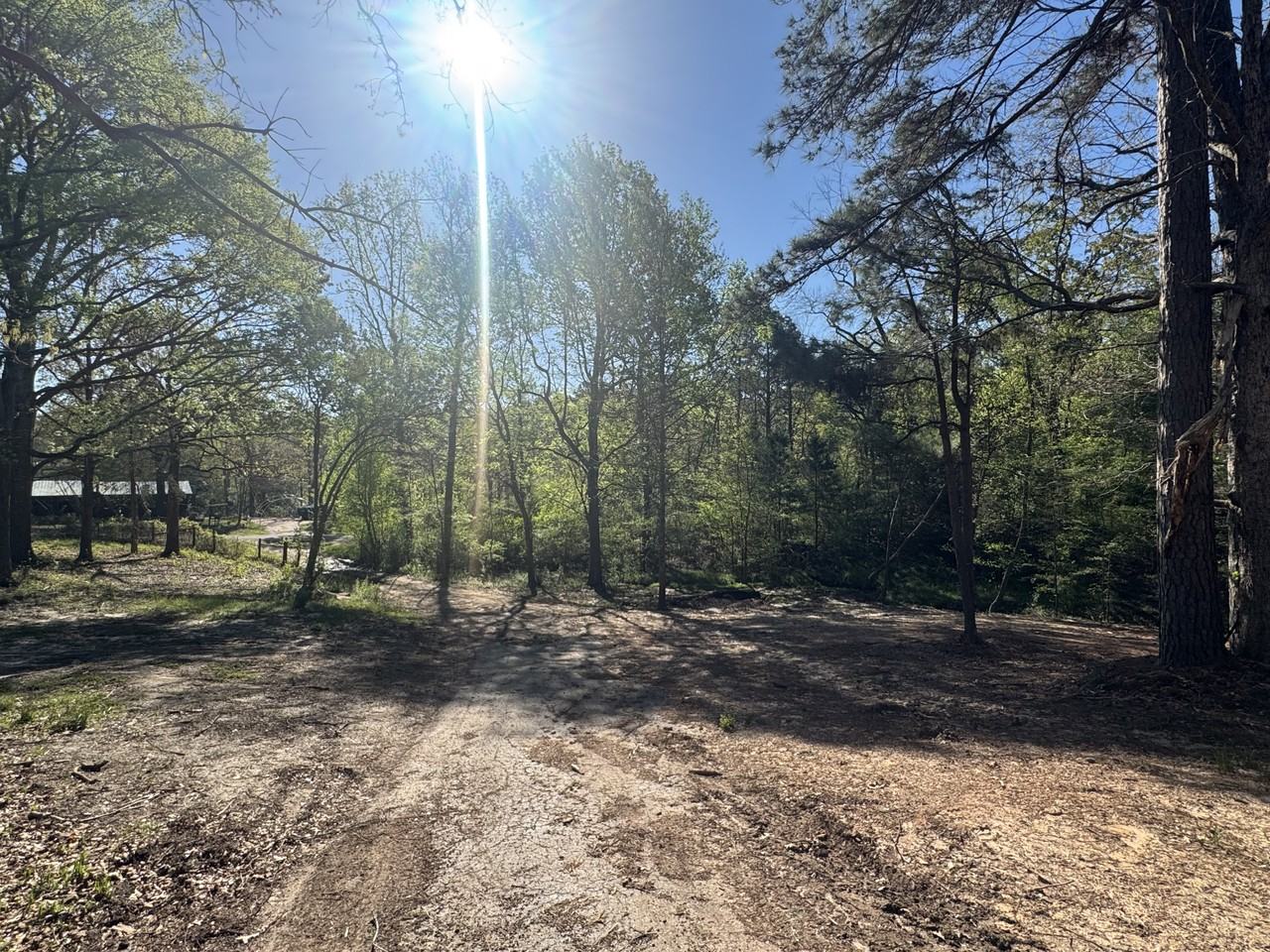 7485 Sturrock Rd - Photo 7 of 15