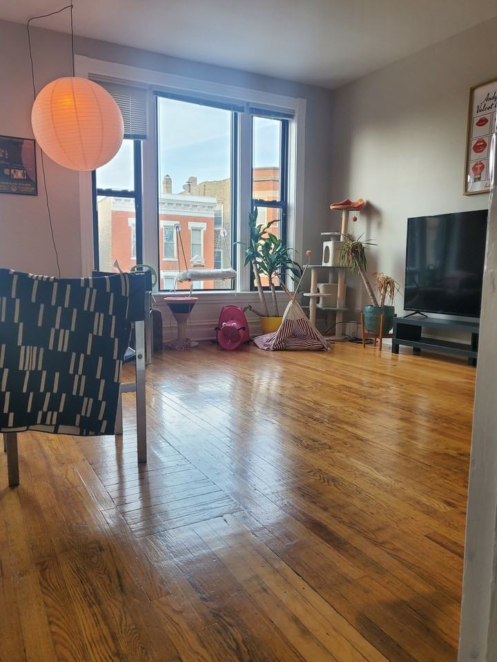 2511 W Augusta Blvd #2F - Photo 3 of 17