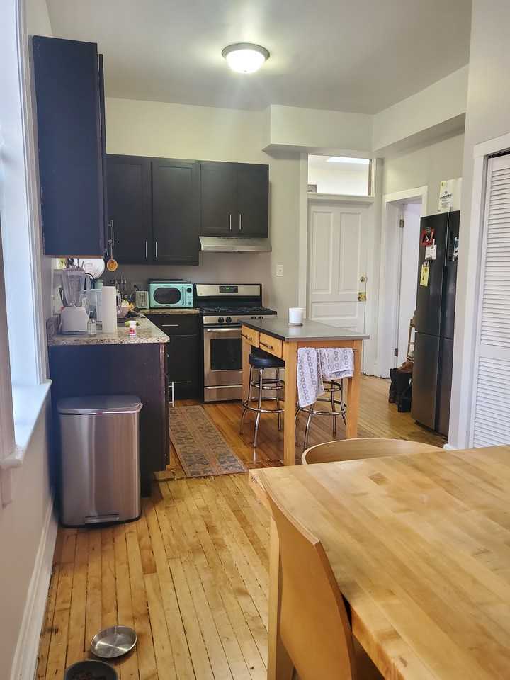 2511 W Augusta Blvd #2F - Photo 4 of 17