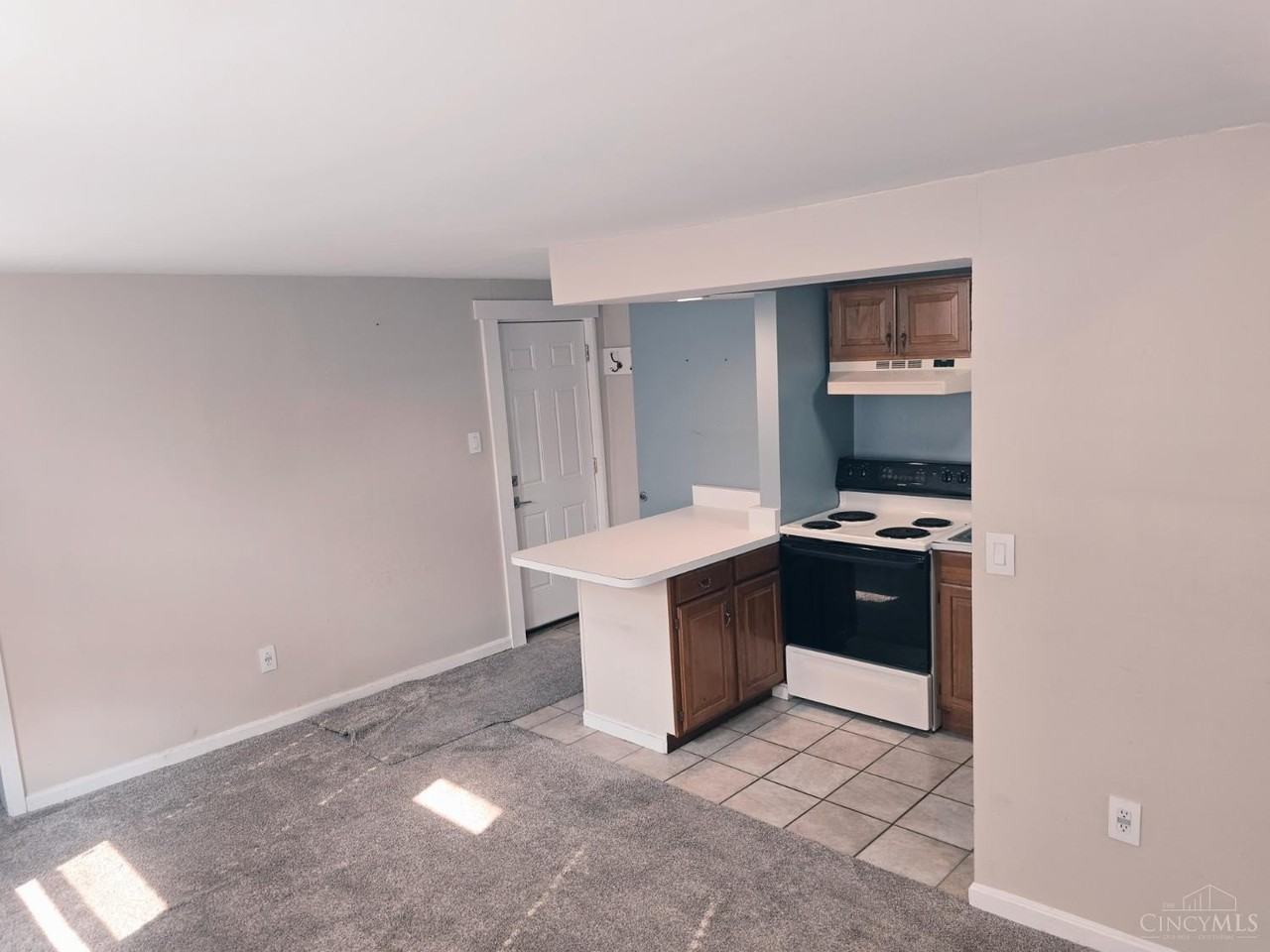 1017 Saint Gregory St Apt 3 - Photo 7 of 12