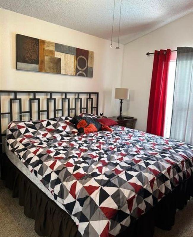 242 Durango Loop St - Photo 5 of 5