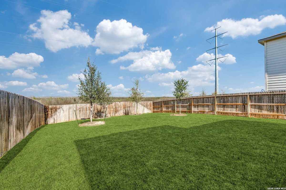 15315 Olive Pigeon - Photo 5 of 6