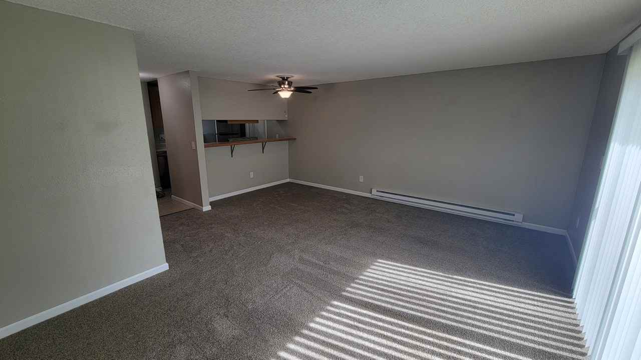 12008 108th Avenue Ct E - Photo 4 of 19