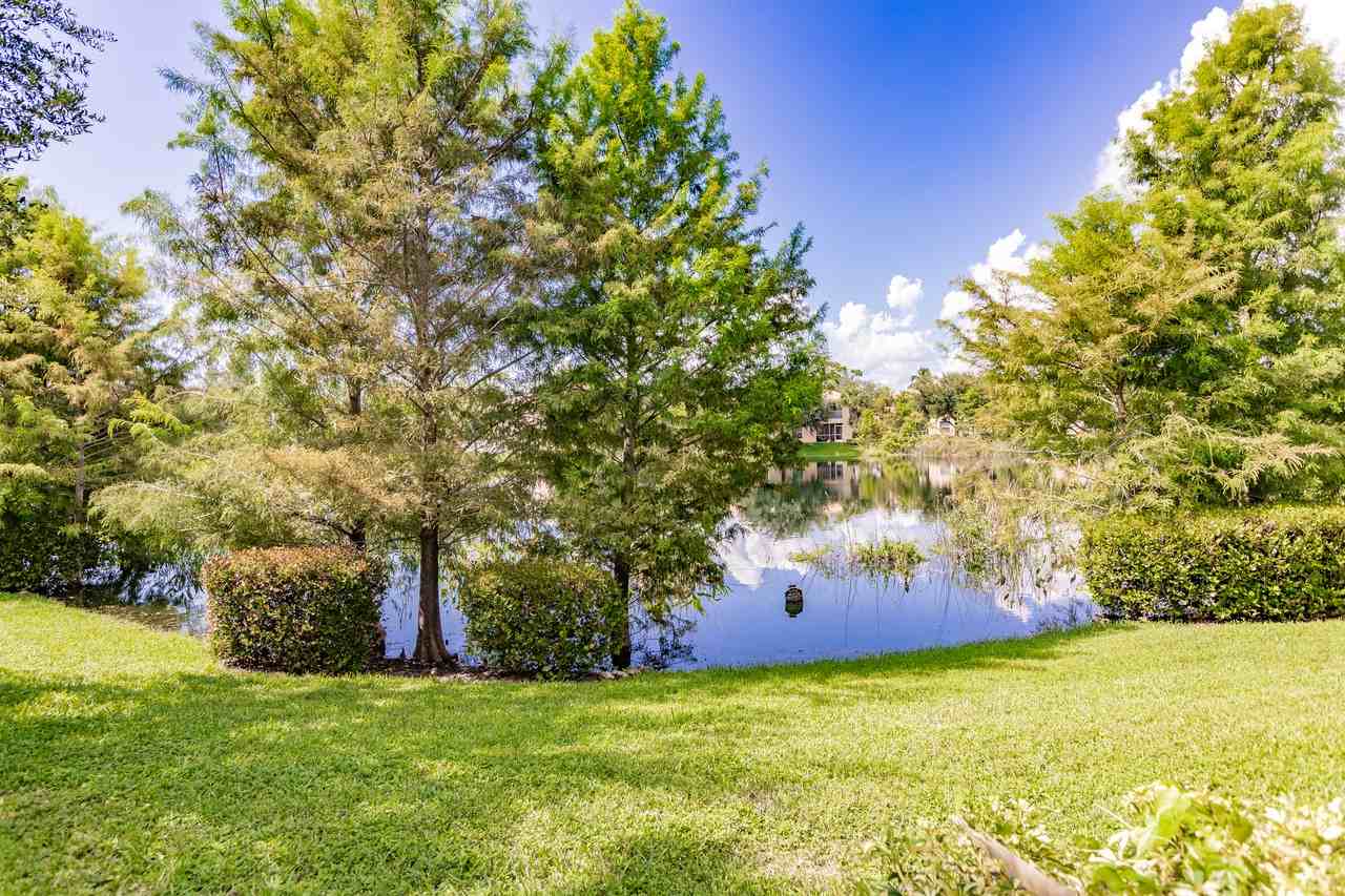 27500 Palmesta Cir #41 - Photo 3 of 16