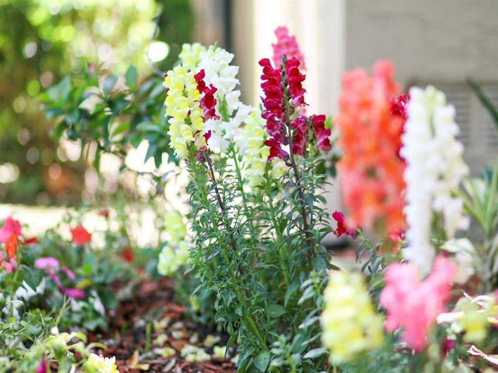 220 47th St - Photo 4 of 24