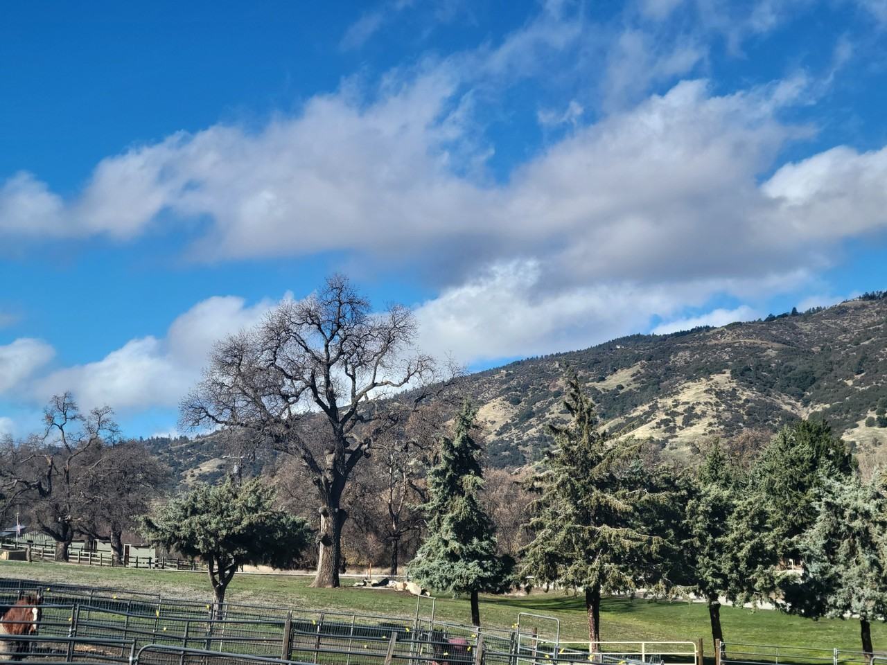 26801 Columbia Way #NA - Photo 2 of 9