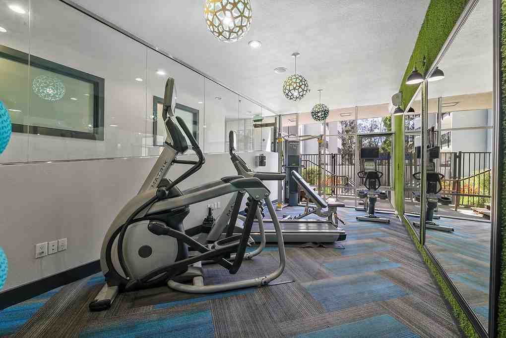 Belmont Terrace - Photo 2 of 39